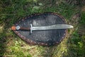 Saber and Shield of the Mongolian soldier lie on the ground in high green grass. Lost, taken after the battle. Medieval weapons o