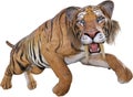 Saber Tooth Tiger, Cat, Isolated