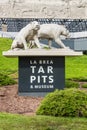 Saber Tooth Tiger Scuplture at La Brea Tar Pits