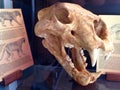 Saber-toothed tiger