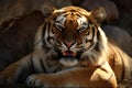 A sabertoothed tiger lounged lazily in the sun its canines gleaming in the bright light.. AI generation