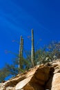 Sabino Canyon