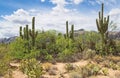 Sabino Canyon Hiking Trail in Tucson Arizona Royalty Free Stock Photo