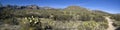 Sabino Canyon (panoramic)