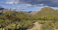 Sabino Canyon Trail Royalty Free Stock Photo