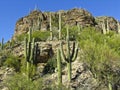 Sabino Canyon Tucson Arizona Royalty Free Stock Photo