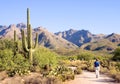 Sabino Canyon Walk Royalty Free Stock Photo