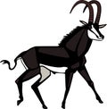 Sable Antelope