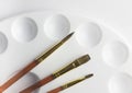 Sable artist brushes