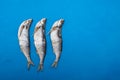 Sabrefish Pelecus cultratus. Salty dry fish - popular beer appetizer in Russia. Silver fish on blue background Royalty Free Stock Photo