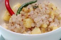 Sabudana khichadi, sago ball fried with potato and peanut, Indian food Royalty Free Stock Photo