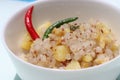 Sabudana khichadi, sago ball fried with potato and peanut, Indian food Royalty Free Stock Photo