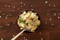 Sabudana khichdi is a light dish made with sabudana. Royalty Free Stock Photo