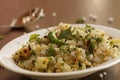 Sabudana khichdi is a light dish made with sabudana. Royalty Free Stock Photo