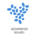 Saccharomyces boulardii colony. Probiotic, beneficial bacterias for human health and beauty. Good gut flora under