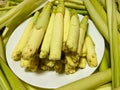 Saccharum edule, also known as terubuk, duruka, Fiji asparagus, dule, pitpit, & naviso. Royalty Free Stock Photo