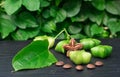 Sacha Inchi, fresh capsule seeds fruit Royalty Free Stock Photo