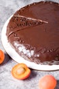 Sacher cake. Traditional Austrian dessert