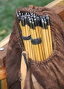 Sack of Arrows Royalty Free Stock Photo