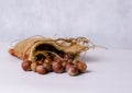 Sack bag full of hazelnuts, rustic style photo Royalty Free Stock Photo