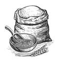 Sack or burlap bag with wholemeal bread flour, barley grains, wooden scoop and ears of wheat. Organic farm food sketch Royalty Free Stock Photo