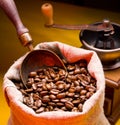 Sack of coffee beans and scoop. Royalty Free Stock Photo