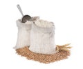 Sack with flour, wheat grains and spikes on white background Royalty Free Stock Photo