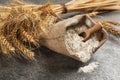 Sack of flour with wooden scoop and wheat ears on grey table Royalty Free Stock Photo