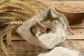 Sack of flour with wooden scoop and wheat ears on wooden table Royalty Free Stock Photo