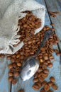 Sack and fresh fragrant coffee beans. Coffee beans are scattered on a blue wooden table