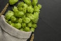 Sack with fresh green hops and spikes on black table, flat lay Royalty Free Stock Photo