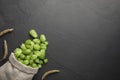 Sack with fresh green hops and spikes on black table, flat lay. Space for text Royalty Free Stock Photo