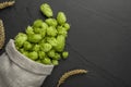 Sack with fresh green hops and spikes on black table, flat lay. Space for text Royalty Free Stock Photo