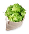 Sack with fresh green hops on white background Royalty Free Stock Photo