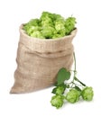 Sack with fresh green hops on white background Royalty Free Stock Photo