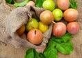 A sack of fresh passion fruits Royalty Free Stock Photo