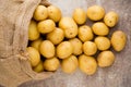 Sack of fresh raw potatoes on wooden background, top view. Royalty Free Stock Photo