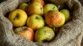 Sack of mixed apples. Royalty Free Stock Photo
