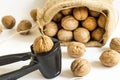 A sack of walnuts on white background with walnut cracker Royalty Free Stock Photo
