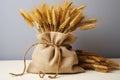 Sack of wheat and ears of wheat on a grey background. Quality products, healthy eating