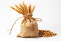 Sack of wheat and ears of wheat on a white background. Quality products, healthy eating