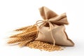 Sack of wheat and ears of wheat on a white background. Quality products, healthy eating