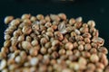 Sack Whole Coriander Seeds photo