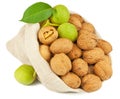 Sack of whole walnut and green walnut fruit Royalty Free Stock Photo