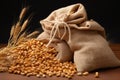 Sackful of bounty Wheat in a small sack, close up view Royalty Free Stock Photo