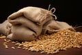 Sackful of bounty Wheat in a small sack, close up view Royalty Free Stock Photo