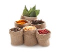 Sacking bags with various spices on white background Royalty Free Stock Photo
