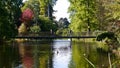 Sackler Crossing Bridge at Kew Botanic Gardens in London