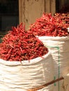 Sacks of Dried Red Chillies in the sun Royalty Free Stock Photo
