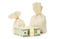 Sacks of money isolated Royalty Free Stock Photo